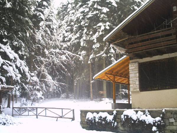 Хотел в Батак, България. Вила на язовир Батак, онлайн резервация на ...